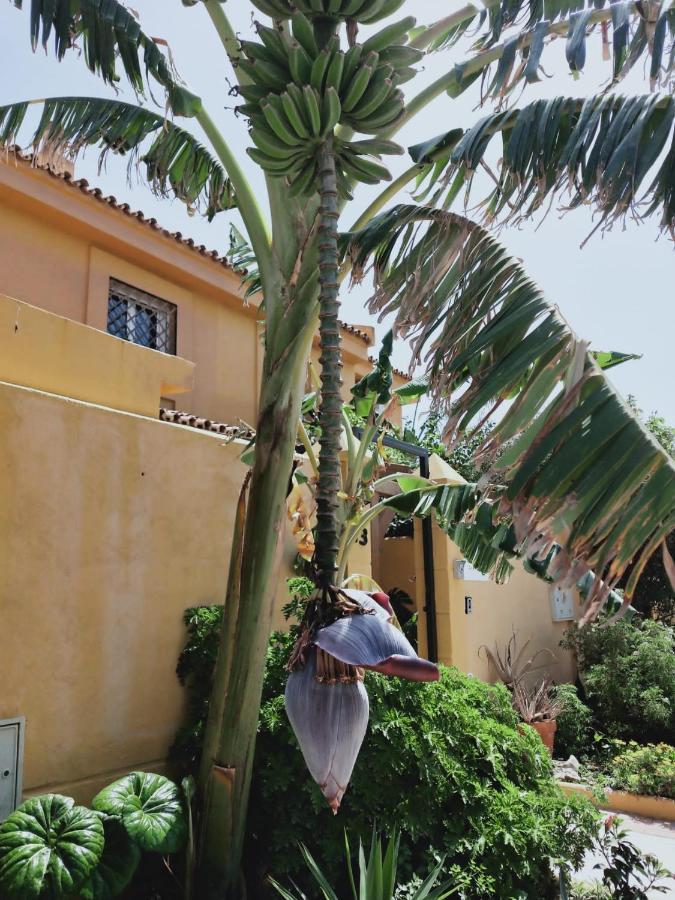 Ferienwohnung Dudi'S Peppers Málaga Exterior foto